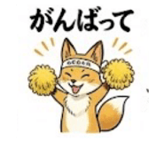 855376339
