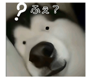 855379262