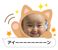 855379342