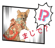855379373