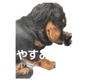 855379829