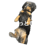 855379835