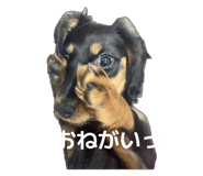855379840