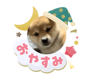 855379926