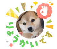 855379930