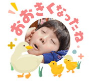 855379948