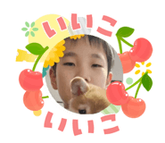 855379950