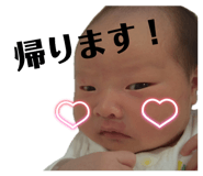855380044