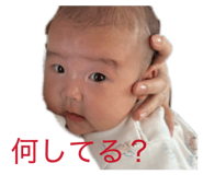 855380344