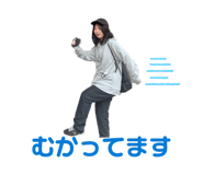 855382244