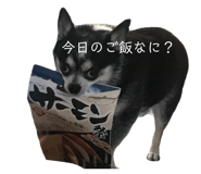 855383017