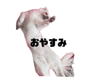855383018