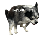 855383019
