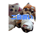 855383021