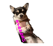 855383024