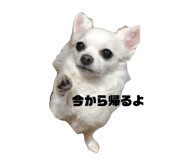855383025