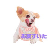 855383026