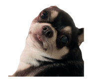 855383028