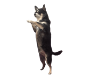 855383031