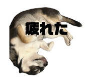 855383032