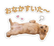 855383202