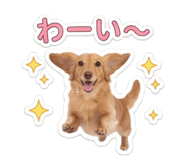 855383212