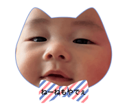 855383555