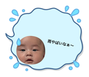 855383558