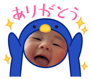 855383561