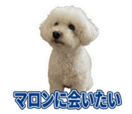 855383576