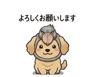 855384514