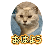 855384610