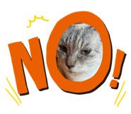 855384618