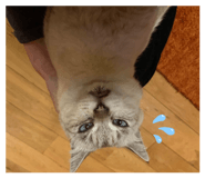 855384626