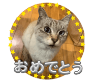 855384630