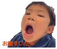 855384854