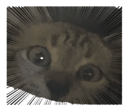 855384908