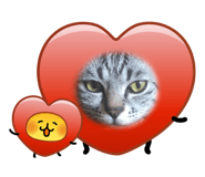855384912