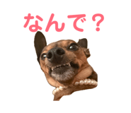 855385161