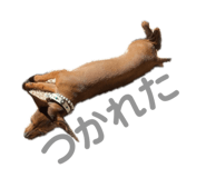 855385167