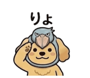 855385540