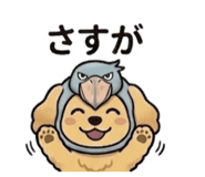855385544