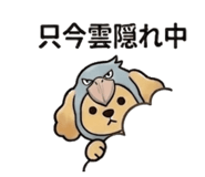 855385549