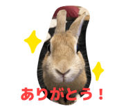 855385801
