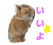 855385808