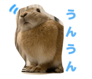 855385810
