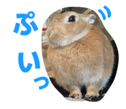 855385822