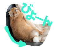 855385824