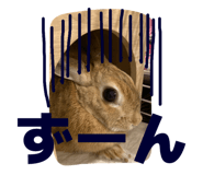 855385827