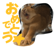 855385831